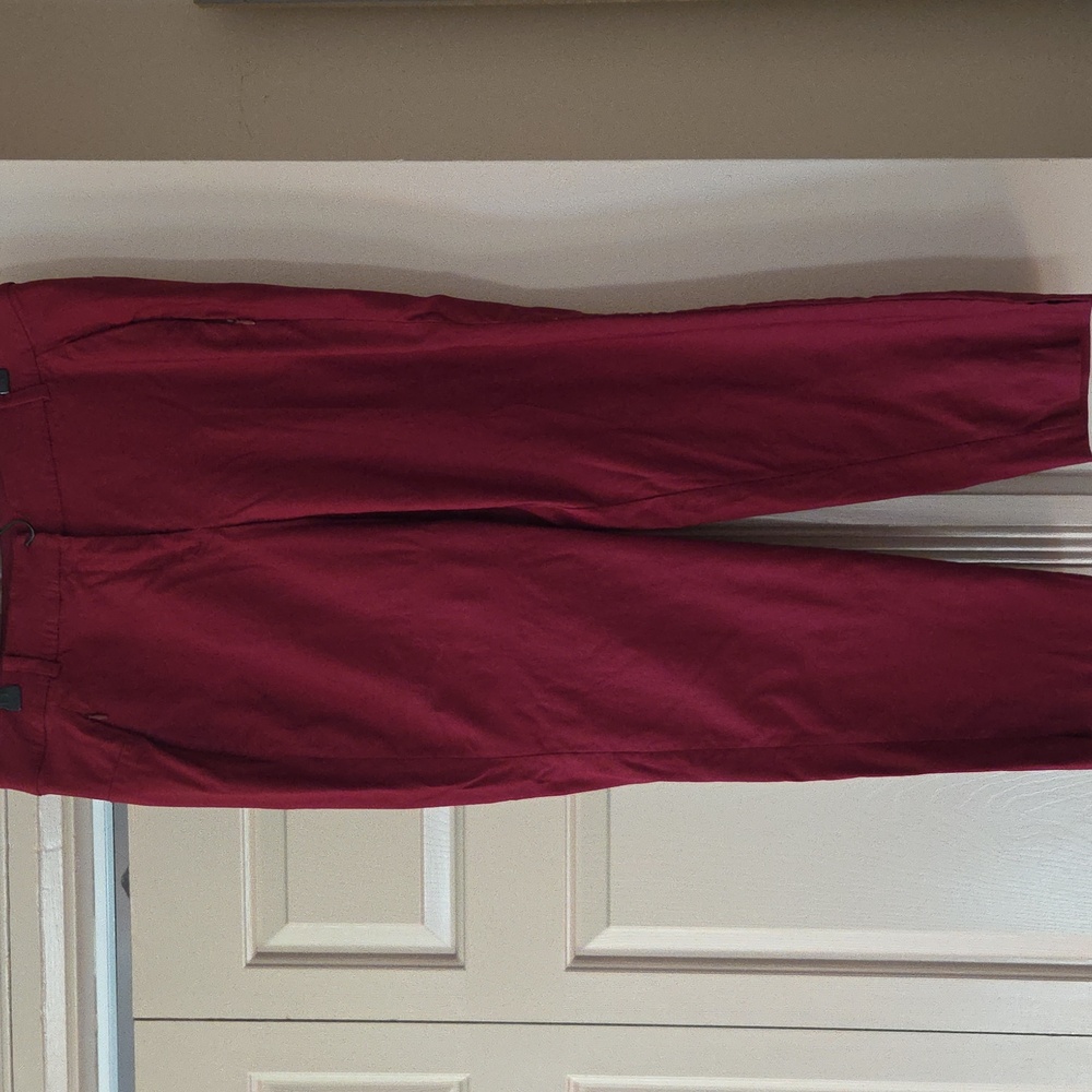 Lane Bryant Ankle Pants